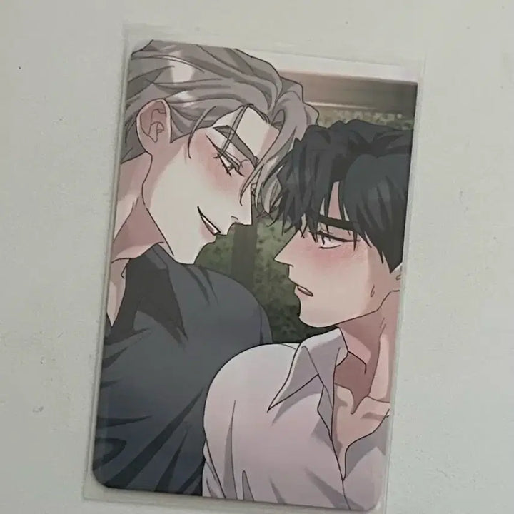 [BUNJANG] Rootless Tree Special Edition Photocard Bundle Set / 뿌리없는나무 특전 포카 일괄 양도