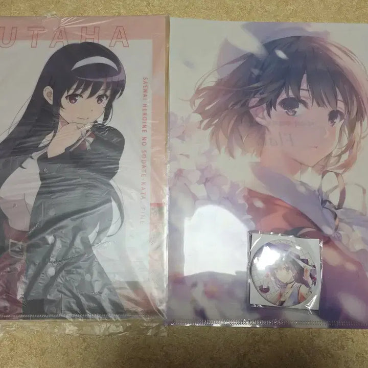 [BUNJANG] SaeKano Clear Files &amp; Badge Set / 시원찮은 그녀 클리어 파일 , 뱃지