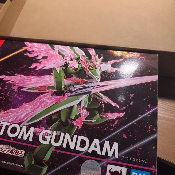 [BUNJANG] Robot Damashii Phantom Gundam (Opened) / 택포) 로봇혼 팬텀 건담 개봉품