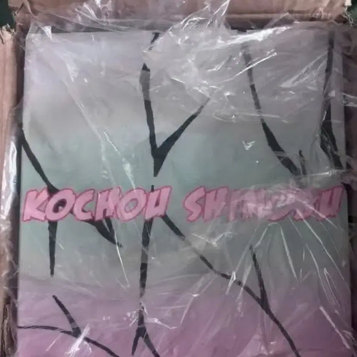 [BUNJANG] Demon Slayer Shinobu Resin Figure / 귀멸의칼날 피규어 g5 시노부 레진