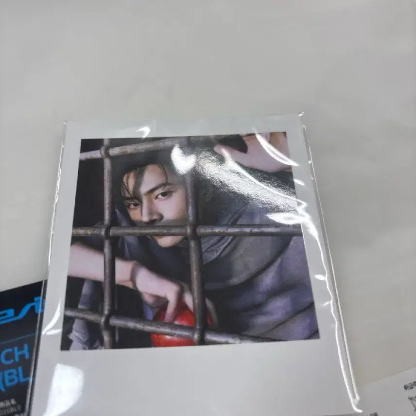 [BUNJANG] The Shinbvnish Pouch J Blue / 더신바니쉬 파우치 제이 블루 팔아요!!