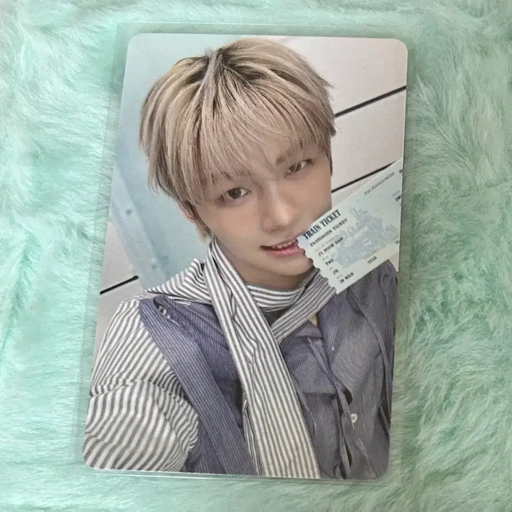 [BUNJANG] TWS Jihoon HMV Japan Special POB Photocard (No Tragedy Ver.) / 투어스 지훈 hmv 재팬 특전 포카 양도 컴팩트 미공포 no tragedy