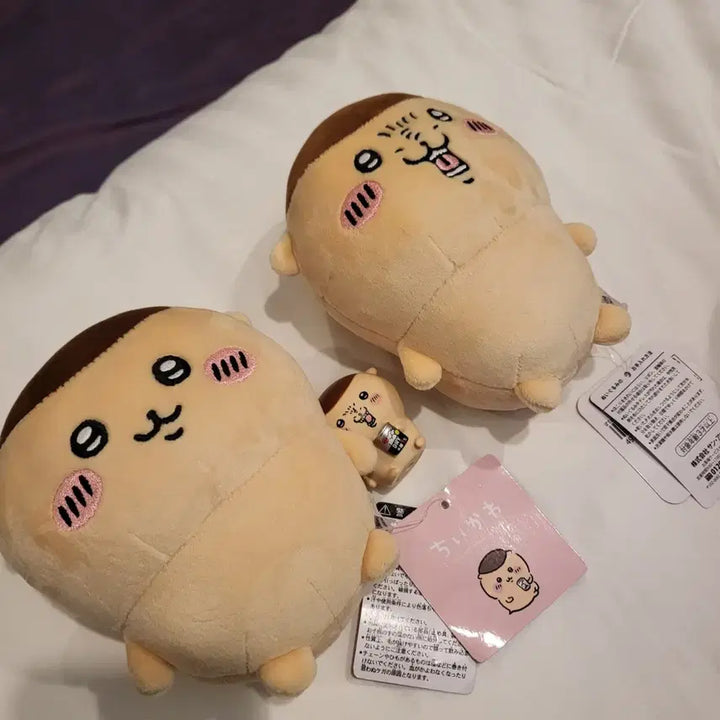 [BUNJANG] Kuri Manju Poteta Ma Nui Basic Character Expression Plush / 쿠리만쥬 포테타마 누이 기본 캬 표정
