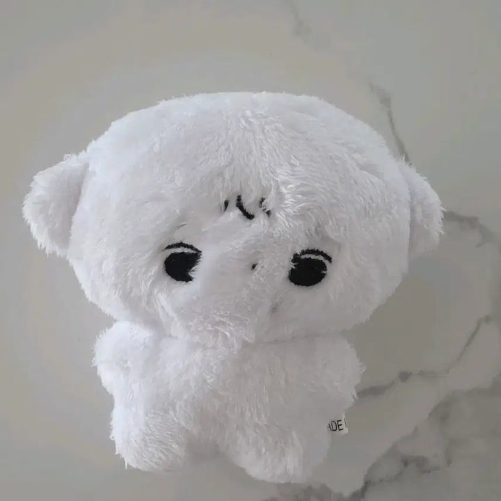 [BUNJANG] ENHYPEN JAY Sigorzajboz Plush / 앤팀 죠 인형 시고르자브죠