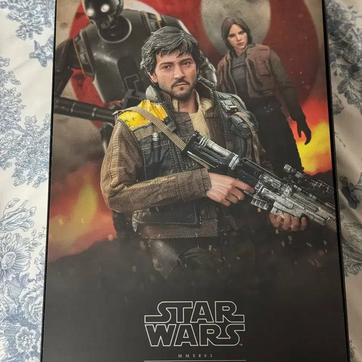 [BUNJANG] Hot Toys Cassian Andor Star Wars Figure / (최종가격/네고x) 스타워즈 카시안 안도르 핫토이 판매