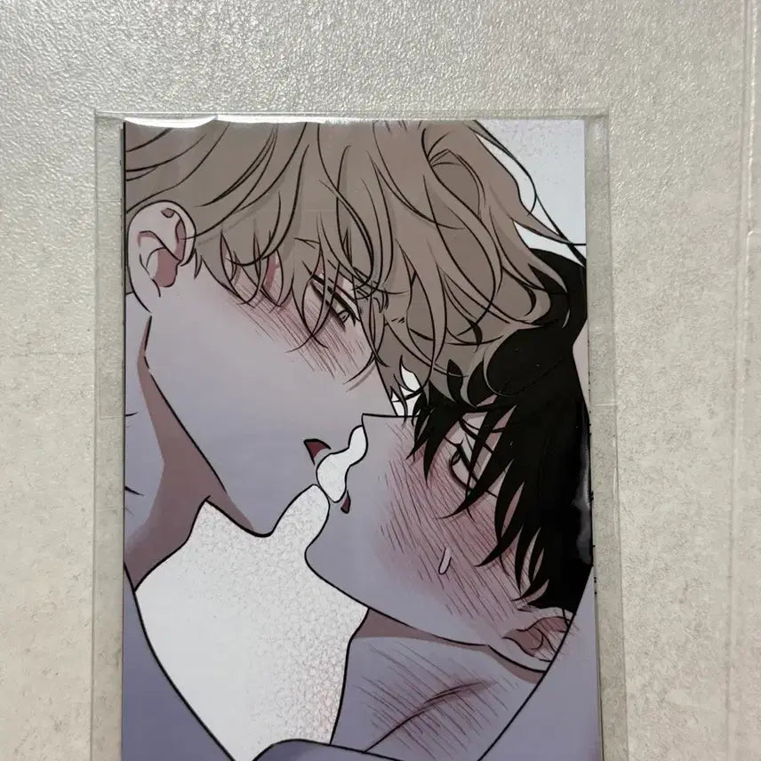[BUNJANG] Mulbam Mulga-ui Bam Popup Skinship Photo Set 6-Piece Bundle Set / 물밤 물가의밤 팝업 스킨십 인화사진 세트 6장일괄