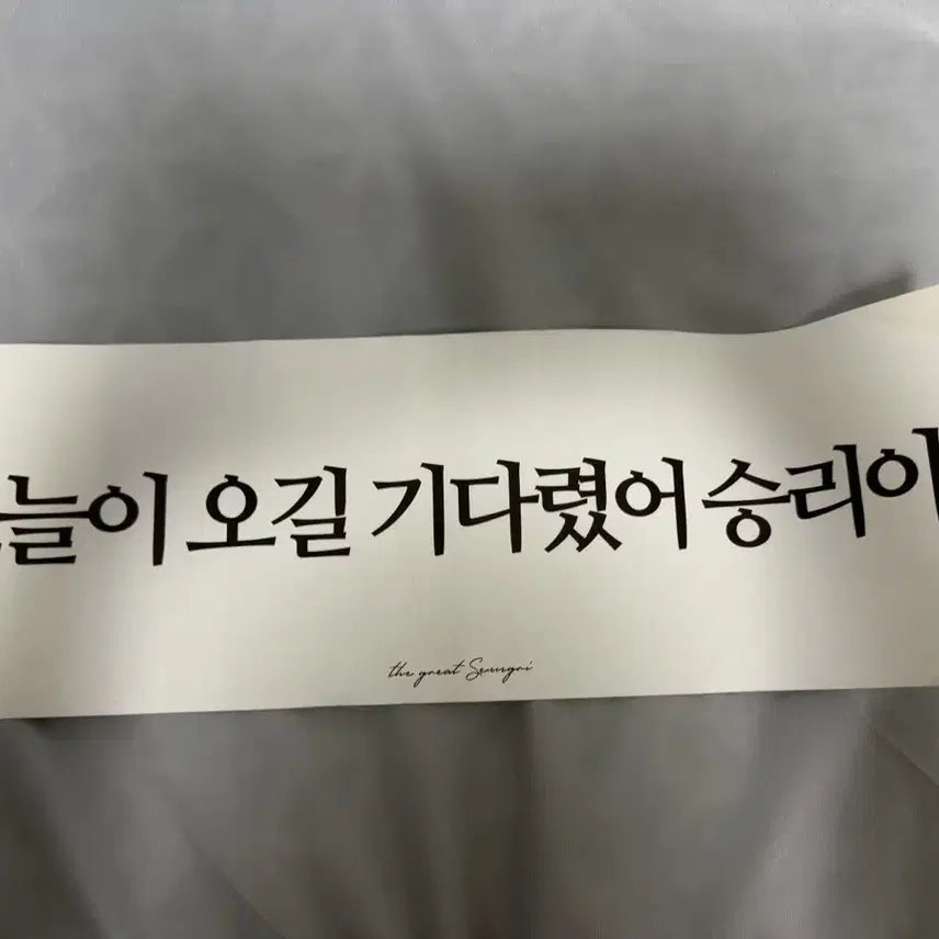 [BUNJANG] BIGBANG Seungri Seoul Solo Concert Encore Event Paper Slogan / 빅뱅 승리 서울 솔로콘서트 공식 앵콜 이벤트 종이 슬로건