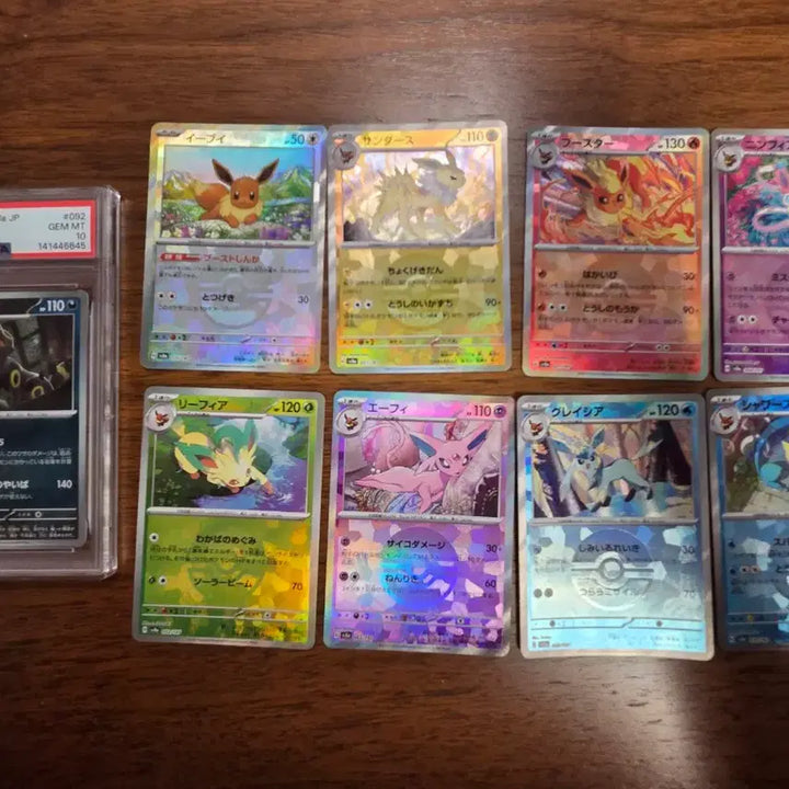 [BUNJANG] Pokemon Card Umbreon Evolution Set (9 Types Mirror Terastal &amp; 4 Types Umbreon Bundle Set) Japanese Version / (psa10)[일본판] 포켓몬 카드 블래키 등 진화체 9종 미러 테라스탈 &amp; 블래키 4종 일괄 세트