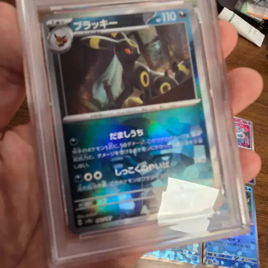 [BUNJANG] Pokemon Card Umbreon Evolution Set (9 Types Mirror Terastal &amp; 4 Types Umbreon Bundle Set) Japanese Version / (psa10)[일본판] 포켓몬 카드 블래키 등 진화체 9종 미러 테라스탈 &amp; 블래키 4종 일괄 세트