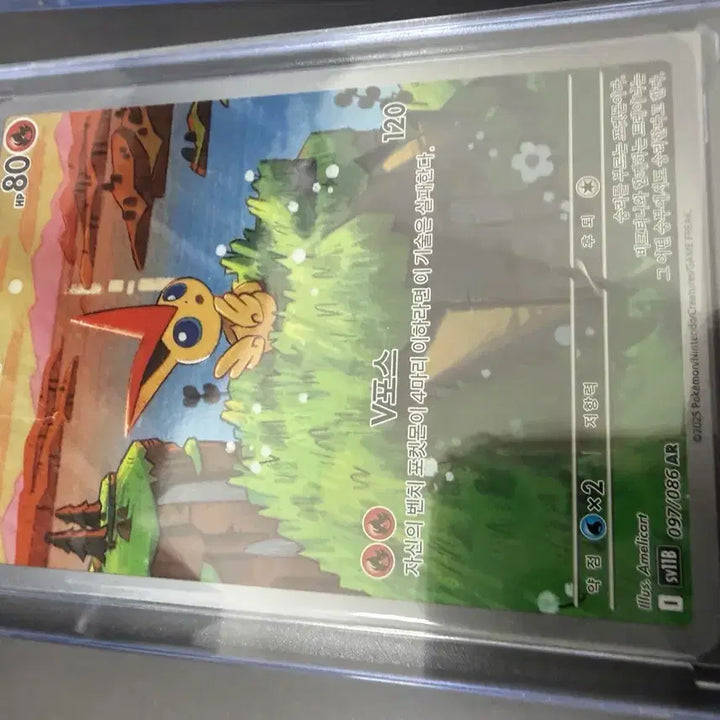 [BUNJANG] Pokemon Card Bundle Set / 포켓몬 카드 5장 일괄 판매