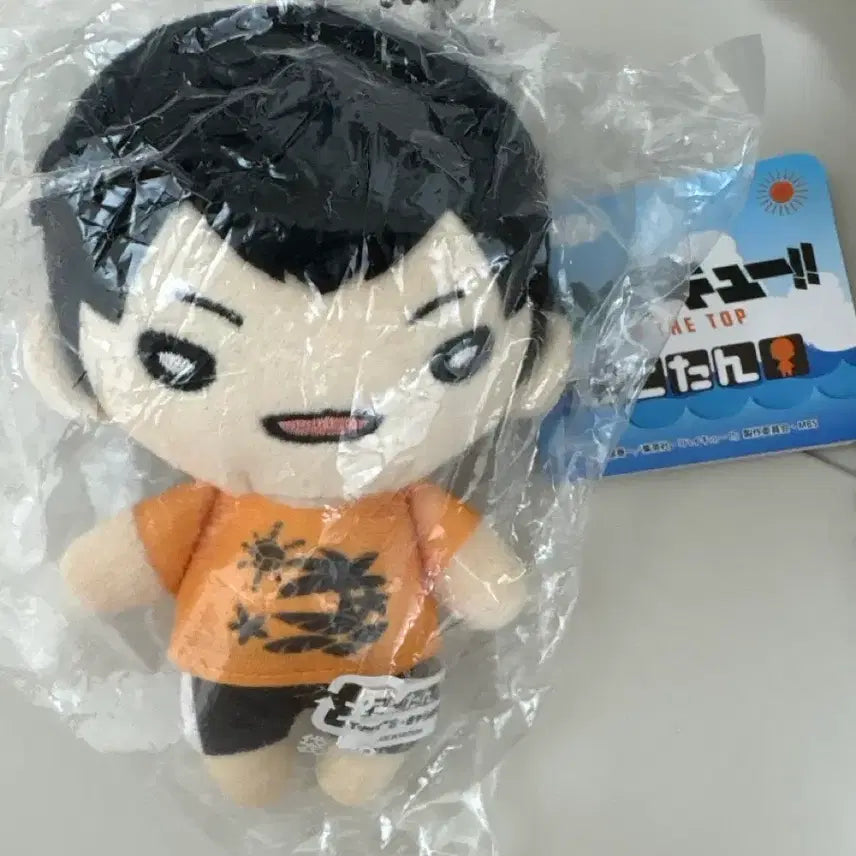 [BUNJANG] Haikyu!! Kageyama Tobio Nittan Beach Volleyball Plush / 하이큐 카게야마 니토탄 비치발리볼