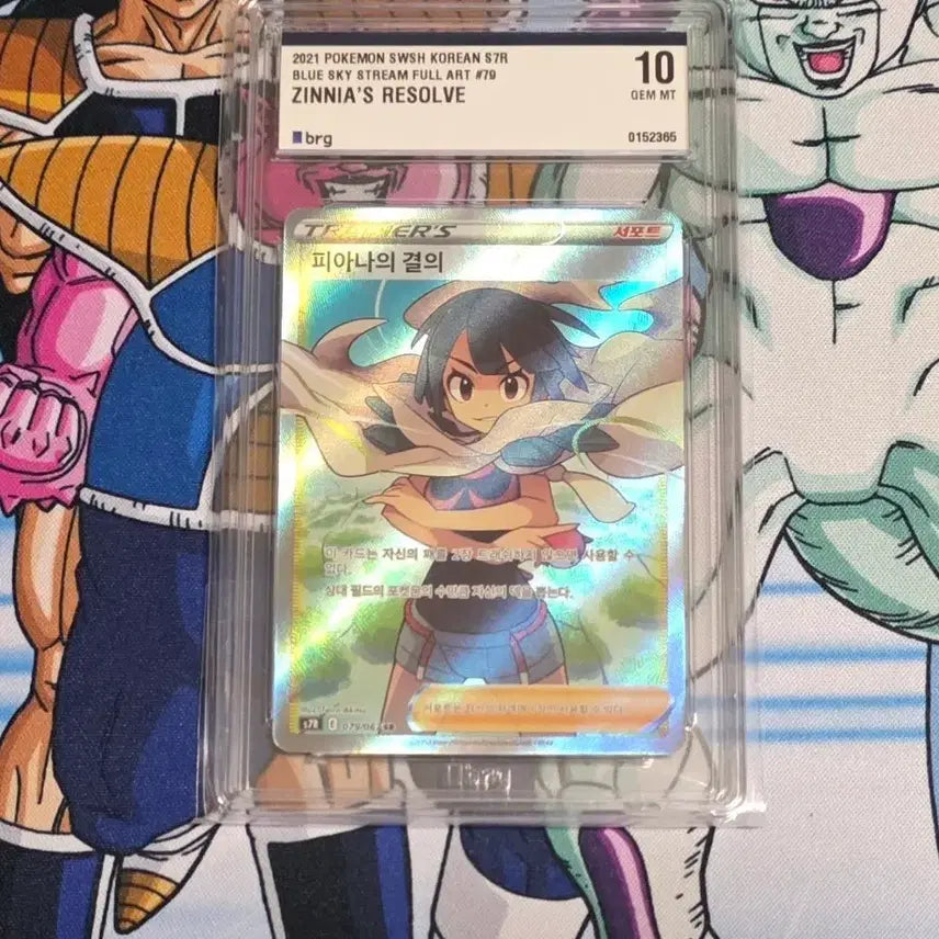 [BUNJANG] Pokemon Card Fiona&