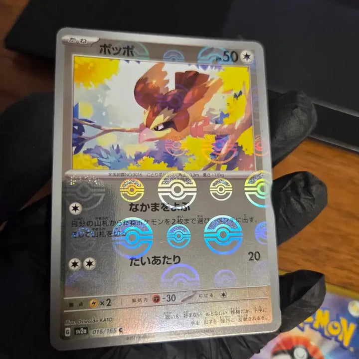 [BUNJANG] Pokemon Card 151 Japanese Edition - Pidgey, Pidgeotto, Pidgeot Monster Ball Mirror Set / (일본판) 구구 &amp; 피죤 &amp; 피죤투 몬스터볼 미러 포켓몬 카드 151