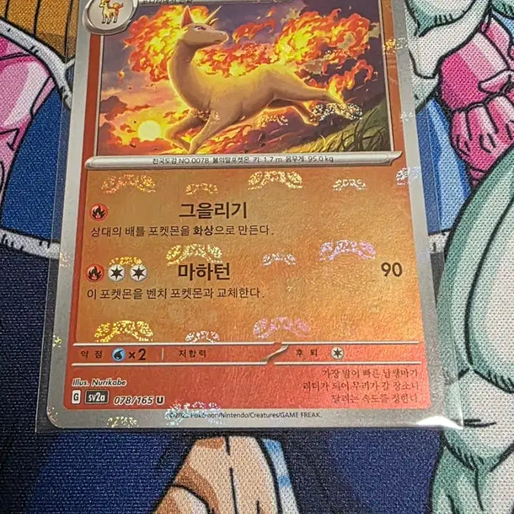 [BUNJANG] Pokemon Card 151 Master Ball Zubat, Furret, Exeggcute, Safety Goggles Bundle Set / 포켓몬카드 151 마스터볼 주뱃,날쌩마,아라리,안전고글 일괄