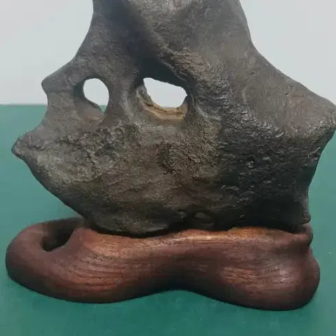 [BUNJANG] Double-Pierced Stone Natural Stone / 쌍관통석 자연석