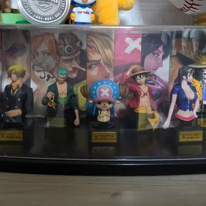 [BUNJANG] One Piece Bust Figure Set with Display Case / 원피스 가챠 (흉상 피규어 일괄 / 진열케이스포함)