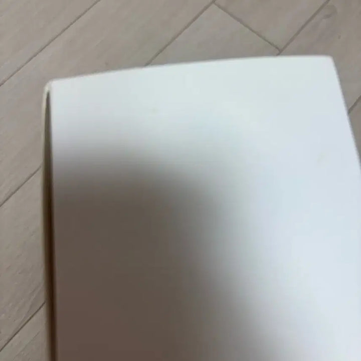 [BUNJANG] IU Official Light Stick / 아이유 공식 응원봉