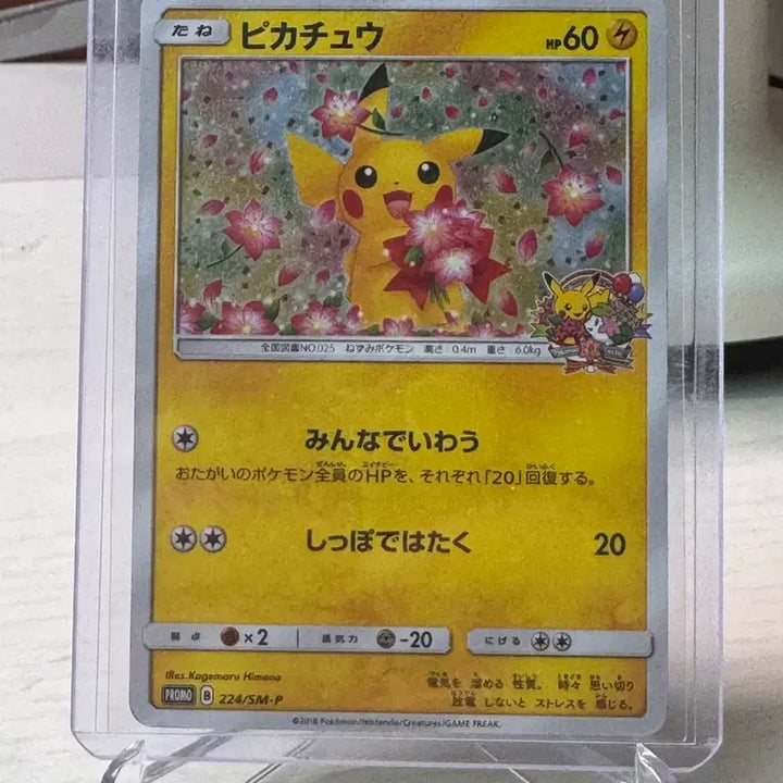 [BUNJANG] Pokemon Card Cherry Blossom Pikachu (Kkotkachu) / [급처]포켓몬카드 벚꽃츄(꽃카츄) 판매/교환