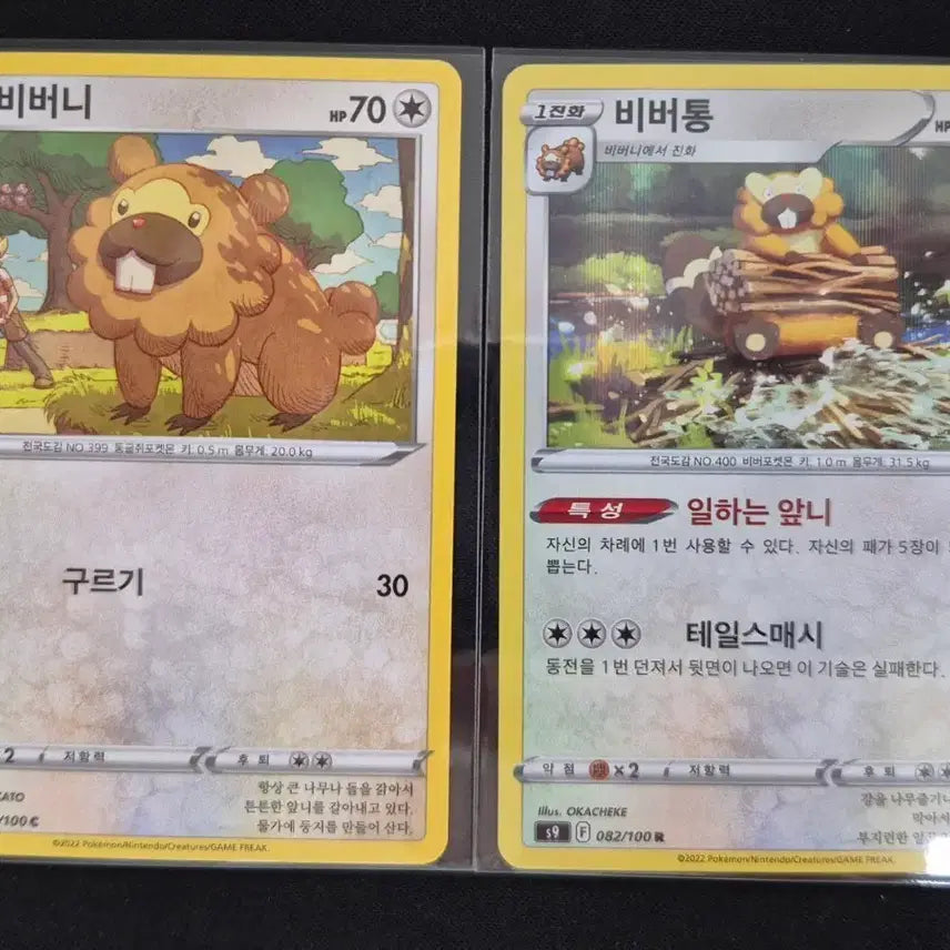 [BUNJANG] Pokemon Card Biborini/Biborny Set (2 Cards) / 포켓몬 카드 비버니/비버통 2장 세트
