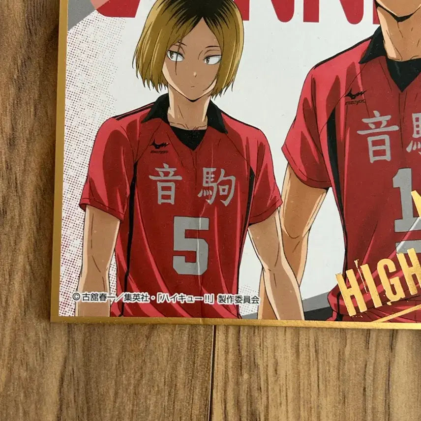 [BUNJANG] Haikyuu!! Nekoma High School Kenma Kozume &amp; Tetsuro Kuroo Acrylic Stand and Capsule Figure Set / 하이큐 네코마 굿즈(켄마 쿠로오)