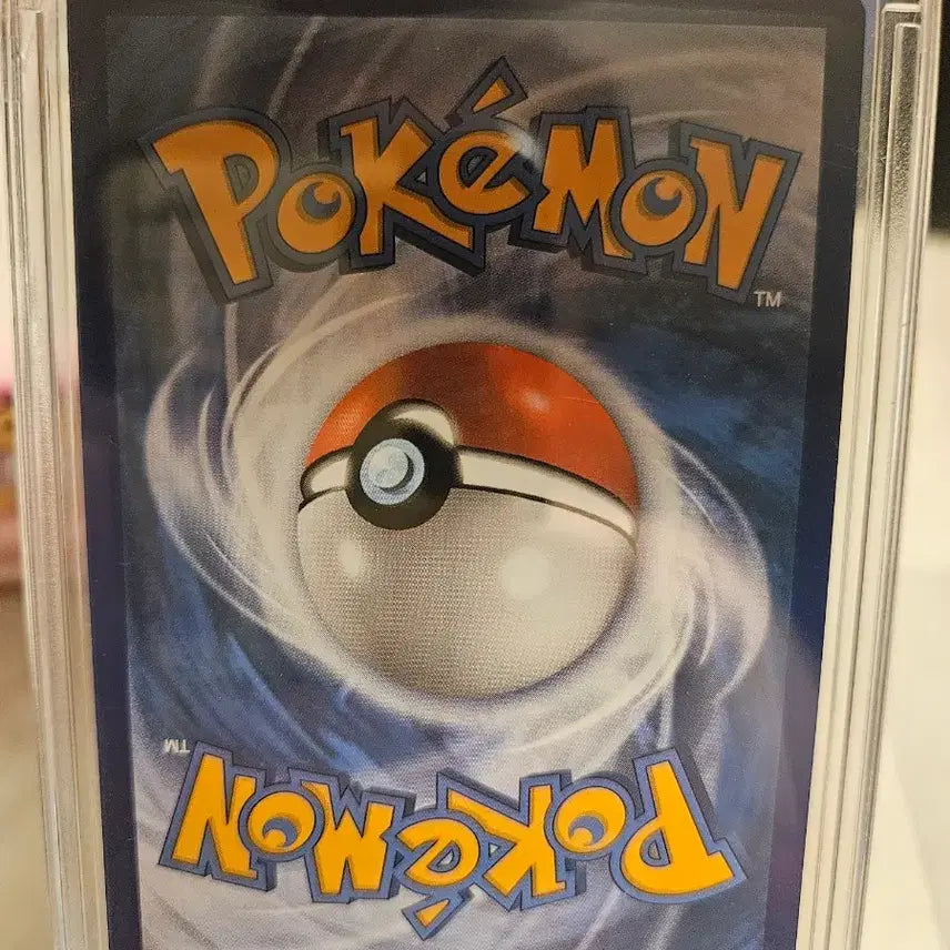 [BUNJANG] North American Holo Charmander / 북미 홀로파이리