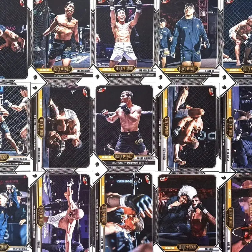 [BUNJANG] Black Combat Card Exchange - Korean vs Eurasia Tournament Base Cards / 블랙컴뱃 중복 카드교환!!