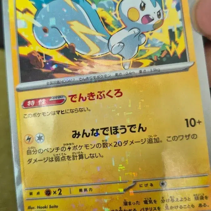 [BUNJANG] Pokemon Card Japanese Reverse Holo Pachirisu 062/190 / [포켓몬카드 일판] 파치리스 리버스홀로  062/190