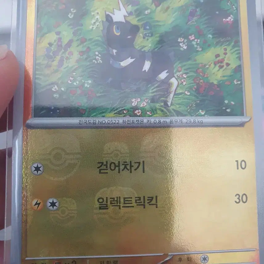 [BUNJANG] Pokemon Master Ball Cards (Brilliant/Scarlet &amp; Violet) - 13 Types Bundle / 포켓몬카드 판매합니다.(블.화 마스터볼 13종)