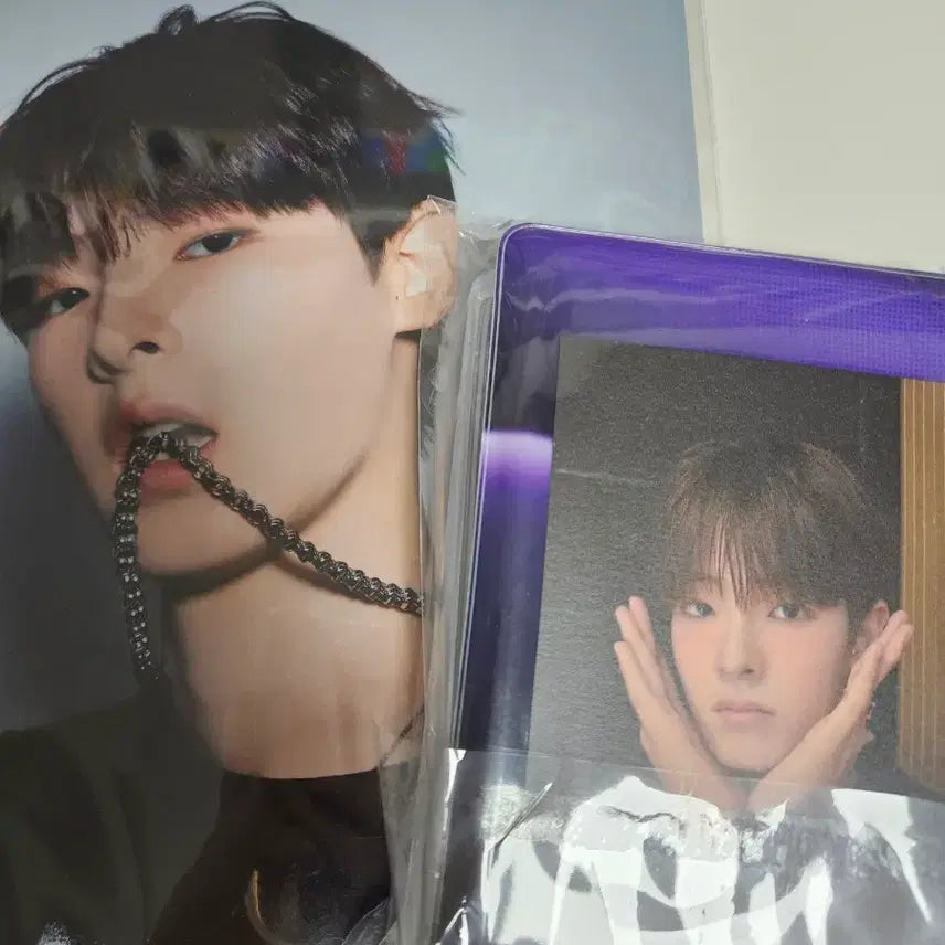 [BUNJANG] Flare U Boppel 2 Kang Woo Jin Photocard Bundle Set / 플레어유 보플2 강우진 포카 일괄 양도 팬미팅 보플 아카이브 슈가하이 콜북 숨바꼭질 아이디카드 아틀란티스소녀