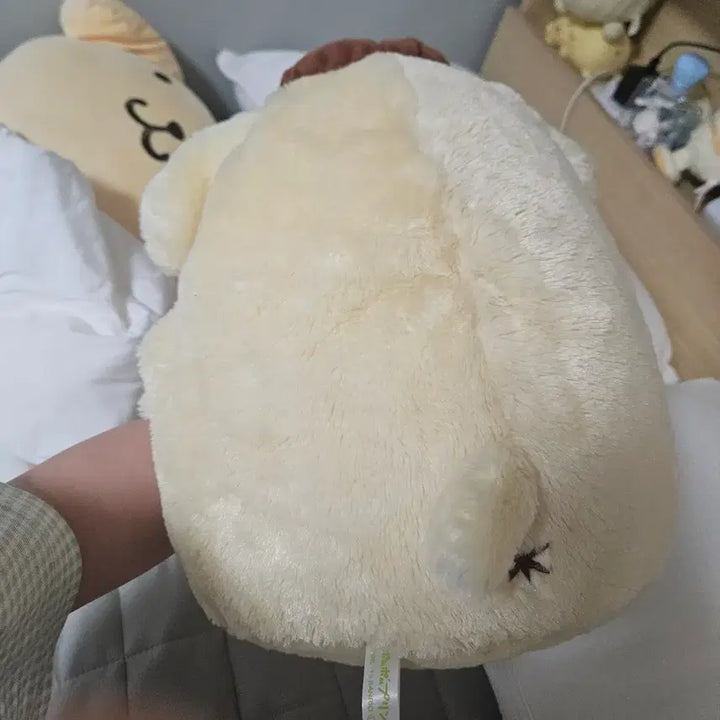 [BUNJANG] Sanrio Pompompurin Plush Doll / 폼폼푸린 누이 인형 산리오