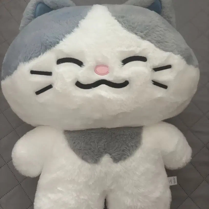 [BUNJANG] NCT DREAM Dreamies Large Plush Doll - Rabbit / 엔시티드림 드리미즈 대왕 인형 러묘