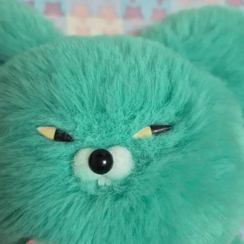 [BUNJANG] Wasabi Bear Plush / 와사비베어 인형 와사비