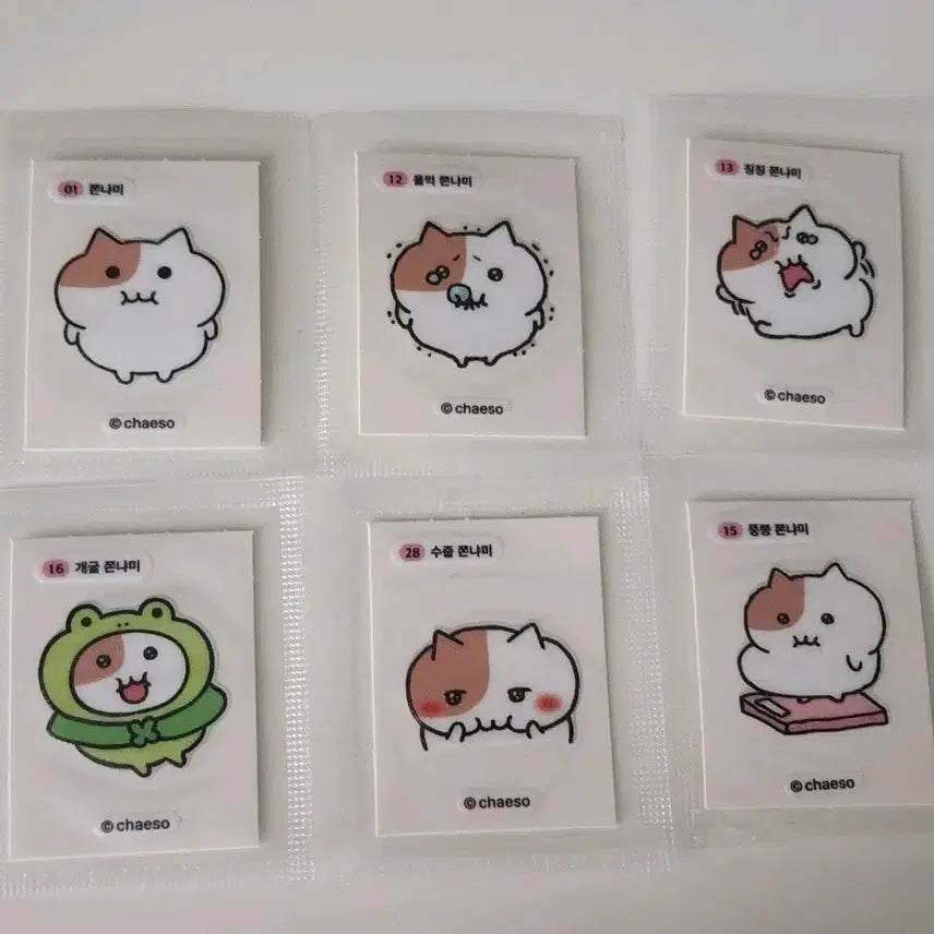 [BUNJANG] Jjonnyami Tteobuseal Sticker Set / 쫀냐미 띠부씰