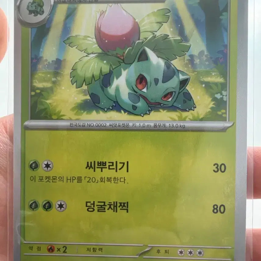 [BUNJANG] Pokemon Card Venusaur / 포켓몬카드 이상해풀 151