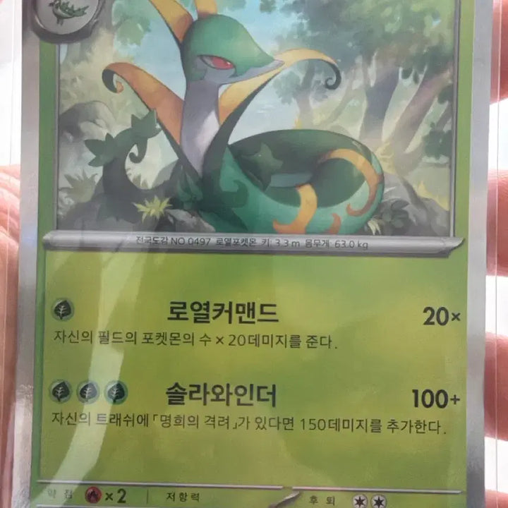 [BUNJANG] Pokemon Card Serperior R / 포켓몬카드 샤로다 R