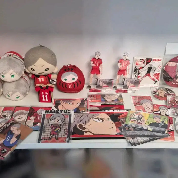 [BUNJANG] Haikyuu!! Lev Haiba Merchandise Bundle / 하이큐 리에프 굿즈 일괄 판매