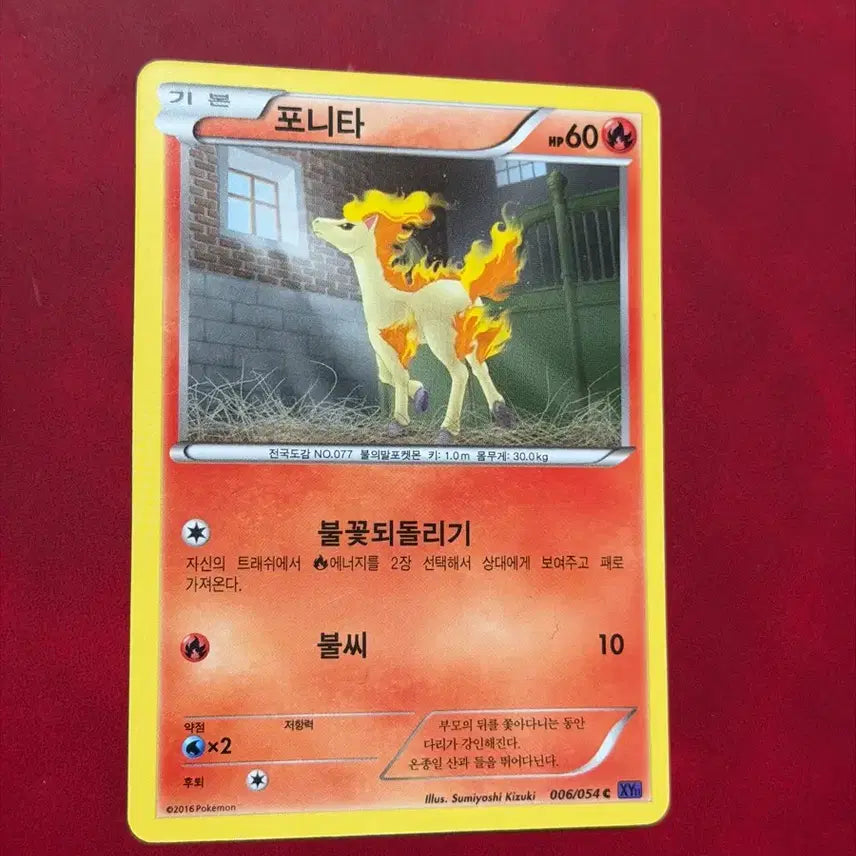 [BUNJANG] Pokemon Ponyta XY Rare Card / 귀여운 포켓몬 고대 희귀 카드 포니타 XY
