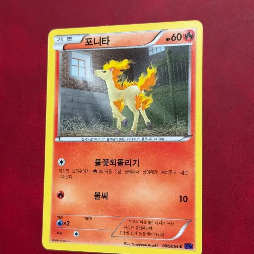 [BUNJANG] Pokemon Ponyta XY Rare Card / 귀여운 포켓몬 고대 희귀 카드 포니타 XY
