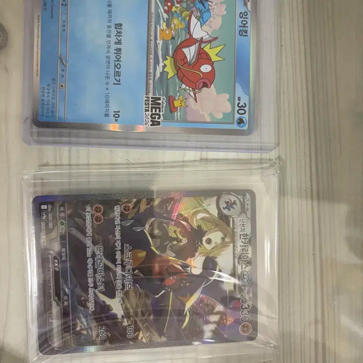 [BUNJANG] Magikarp Promo &amp; Cynthia&