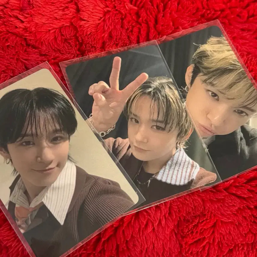 [BUNJANG] FTISLAND Lee Jae Jin Japan Zepp Tour Photocard Bundle Set / FTISLAND 일본 zepp투어 이재진 포카 3장 일괄