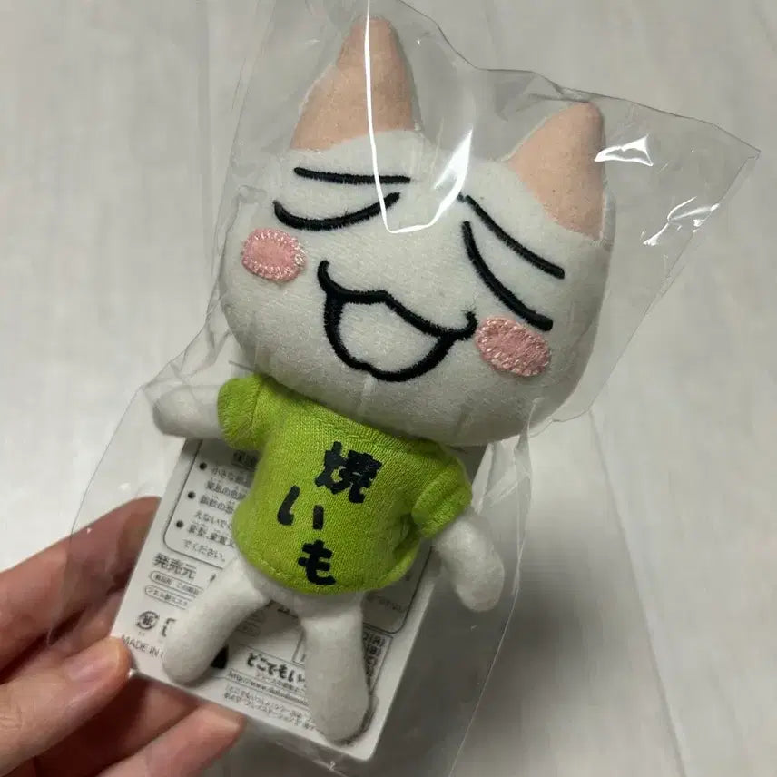 [BUNJANG] Classic Toro Plush / 고전 토로 인형