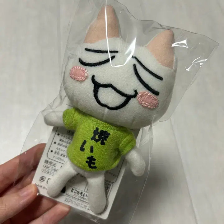 [BUNJANG] Classic Toro Plush / 고전 토로 인형