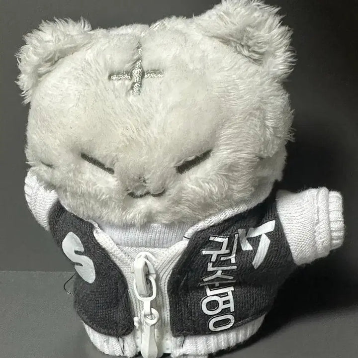 [BUNJANG] SEVENTEEN Hoshi Doll (Hoshi) / 세븐틴 호시 인형(호찌)