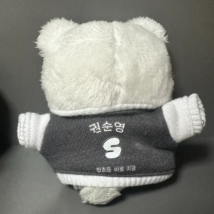 [BUNJANG] SEVENTEEN Hoshi Doll (Hoshi) / 세븐틴 호시 인형(호찌)
