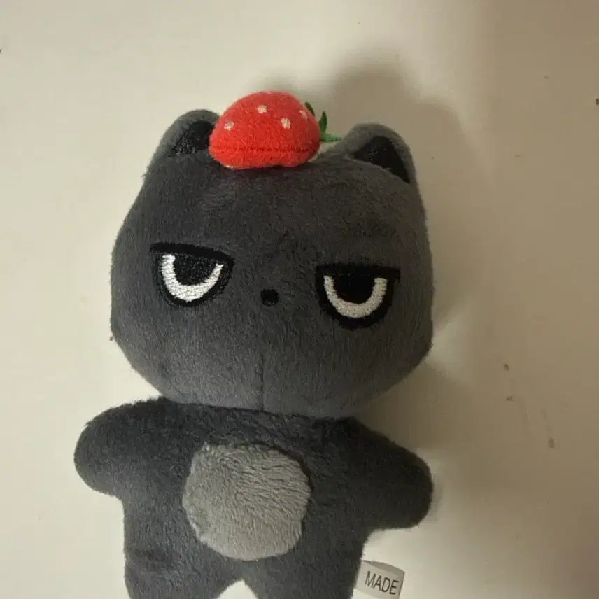 [BUNJANG] ENHYPEN Nicholas Nico Nnico Plush Doll / 앤팀 니콜라스 니코 인형 샹냥이
