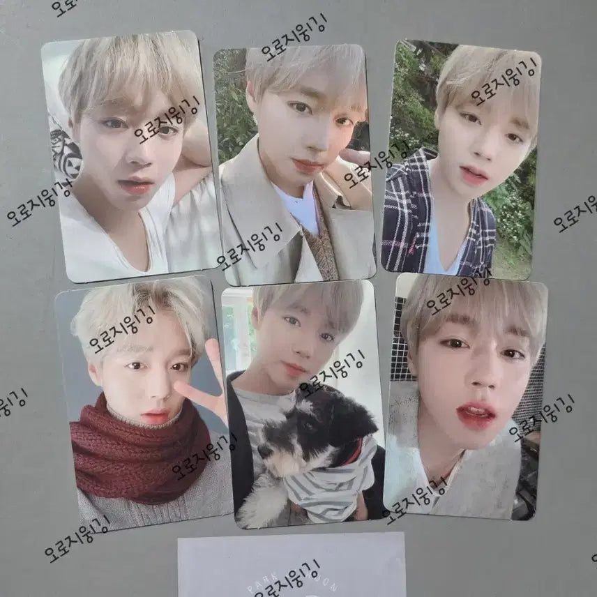 [BUNJANG] Park Ji Hoon 2020 Season&