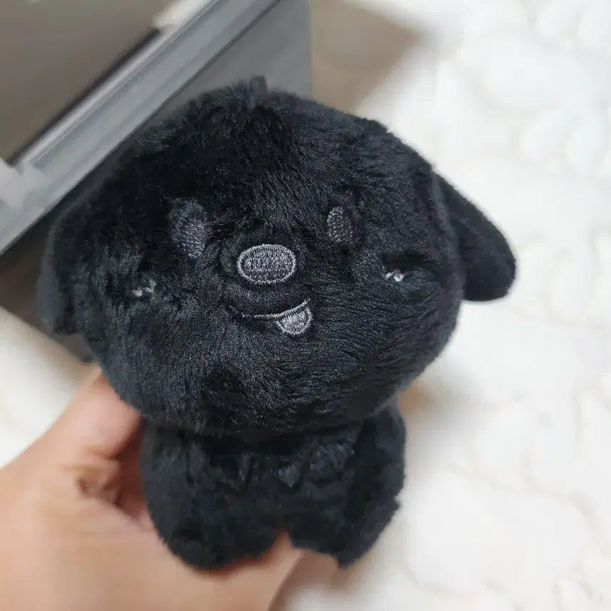 [BUNJANG] Fame Black Mongryong Photocard Holder / 페임 멍룡이 블랙 멍룡이