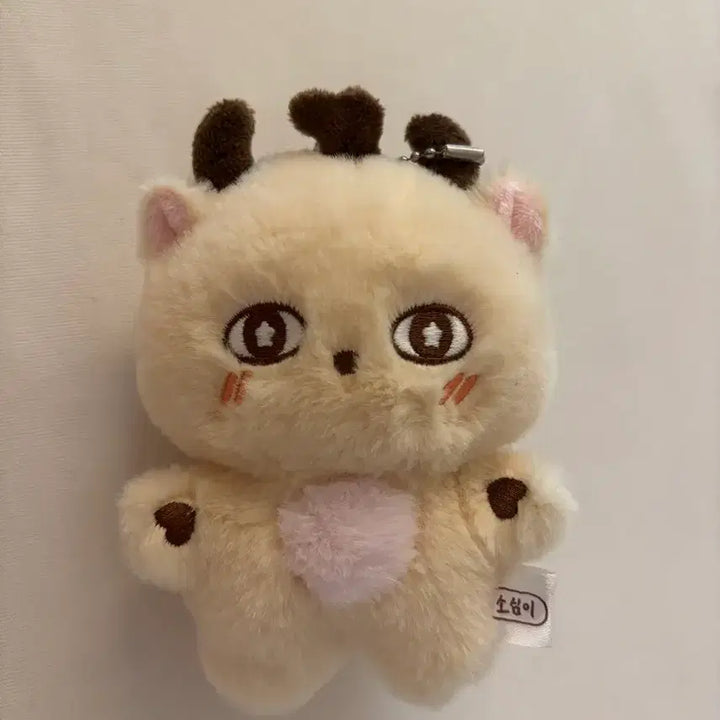 [BUNJANG] Park Ji Hoon So-sim-i Doll Keyring / 박지훈 소심이 인형 키링 양도해요