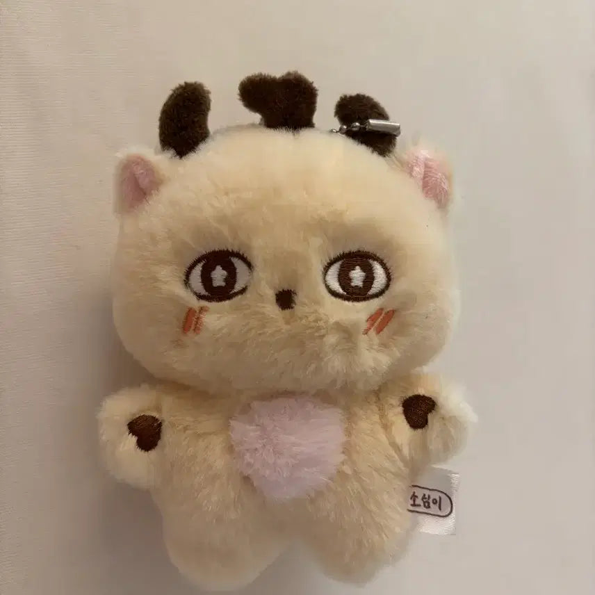 [BUNJANG] Park Ji Hoon So-sim-i Doll Keyring / 박지훈 소심이 인형 키링 양도해요