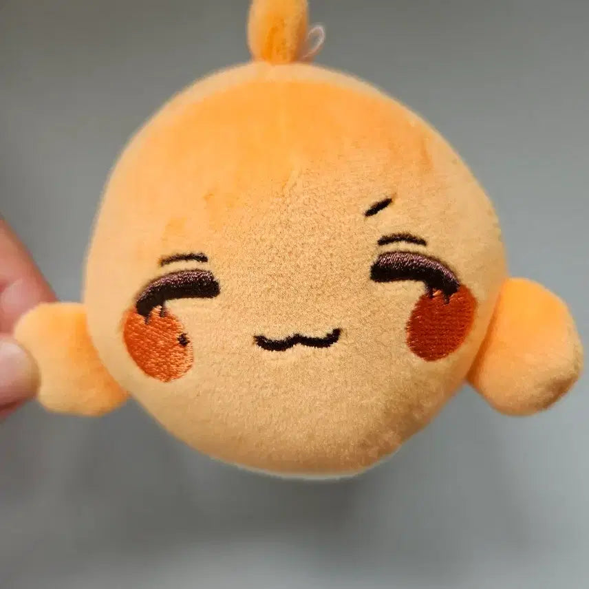 [BUNJANG] Jjong Bungeo Plush / 쫑붕어 한 마리 팔아요